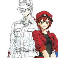 qual o melhor perfume bvlgari masculino