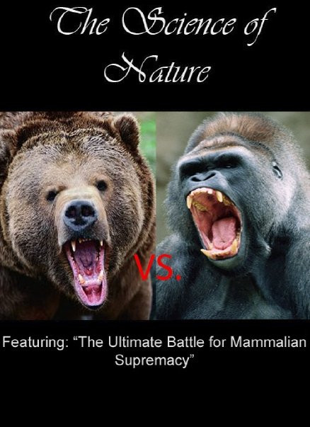 who win silverback gorilla vs grizzly bear