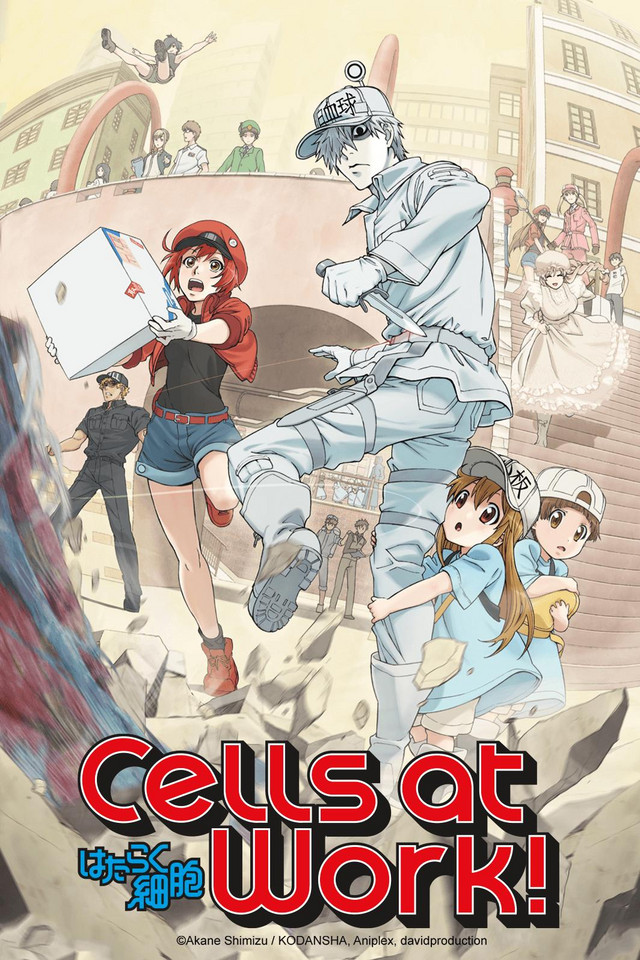 Cells At Work! Complete Manga Box Set! - (cells At Work! Manga Box Set!) By  Akane Shimizu (mixed Media Product) : Target