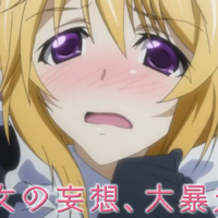 Infinite stratos 2 ova world purge