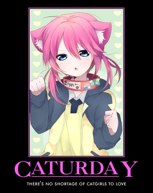 Im not gonna Dress like a catgirl for you meme.