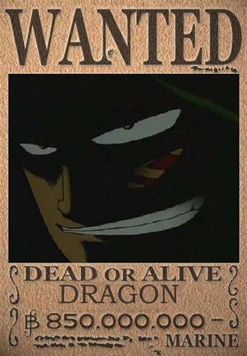 Crunchyroll - Library - One piece Wanted posters - Page 8