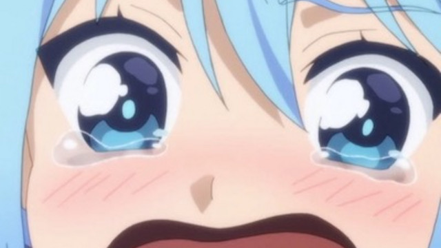 anime welp face Meme Generator  Imgflip