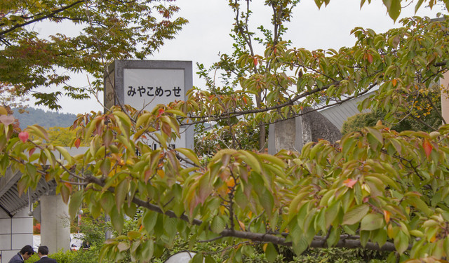 Kyoto Animation Memorial