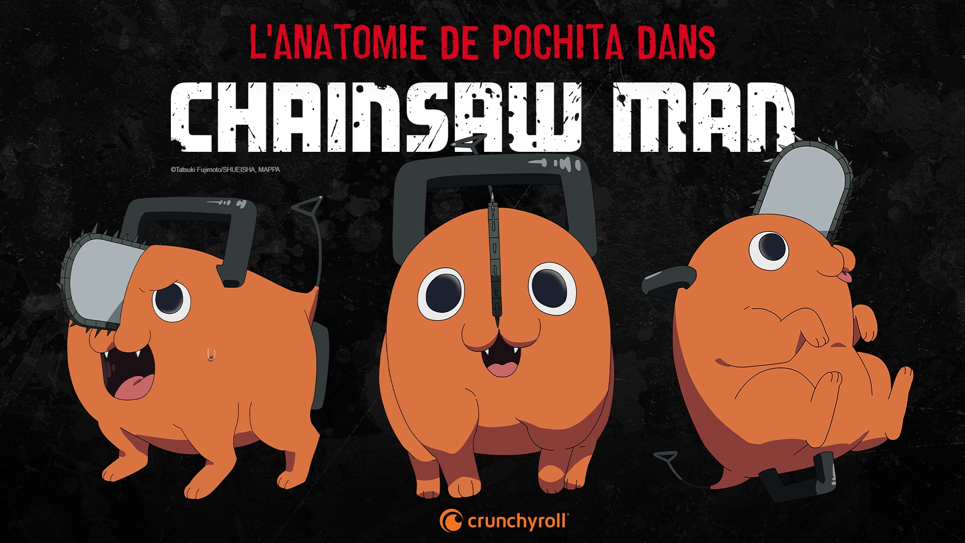 L'anatomie de Pochita dans Chainsaw Man