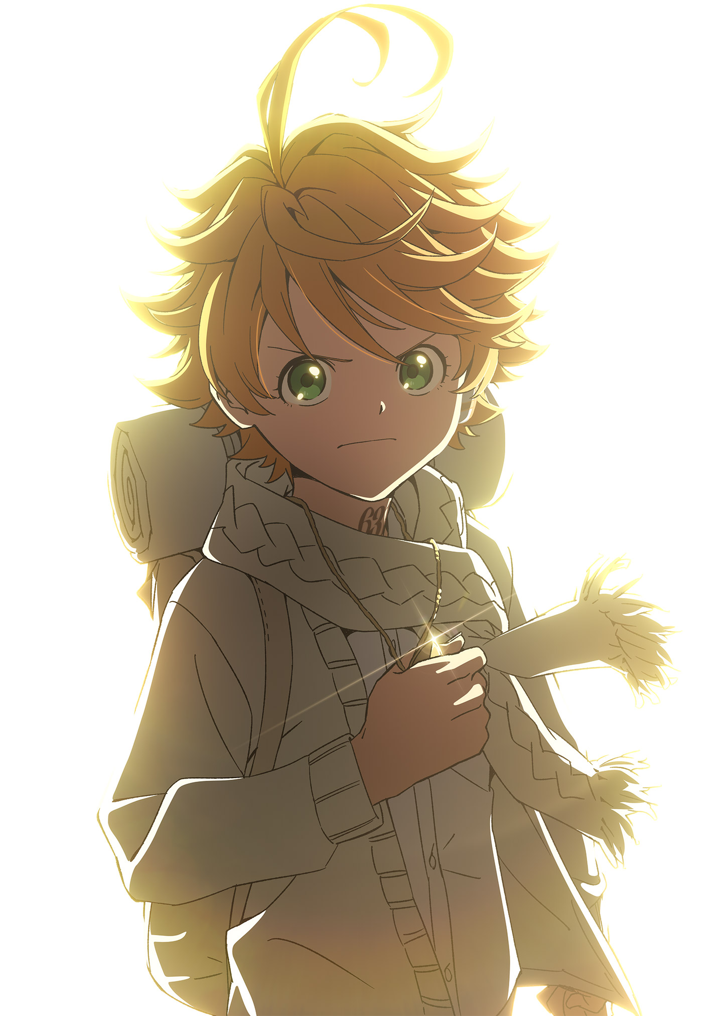 THE PROMISED NEVERLAND