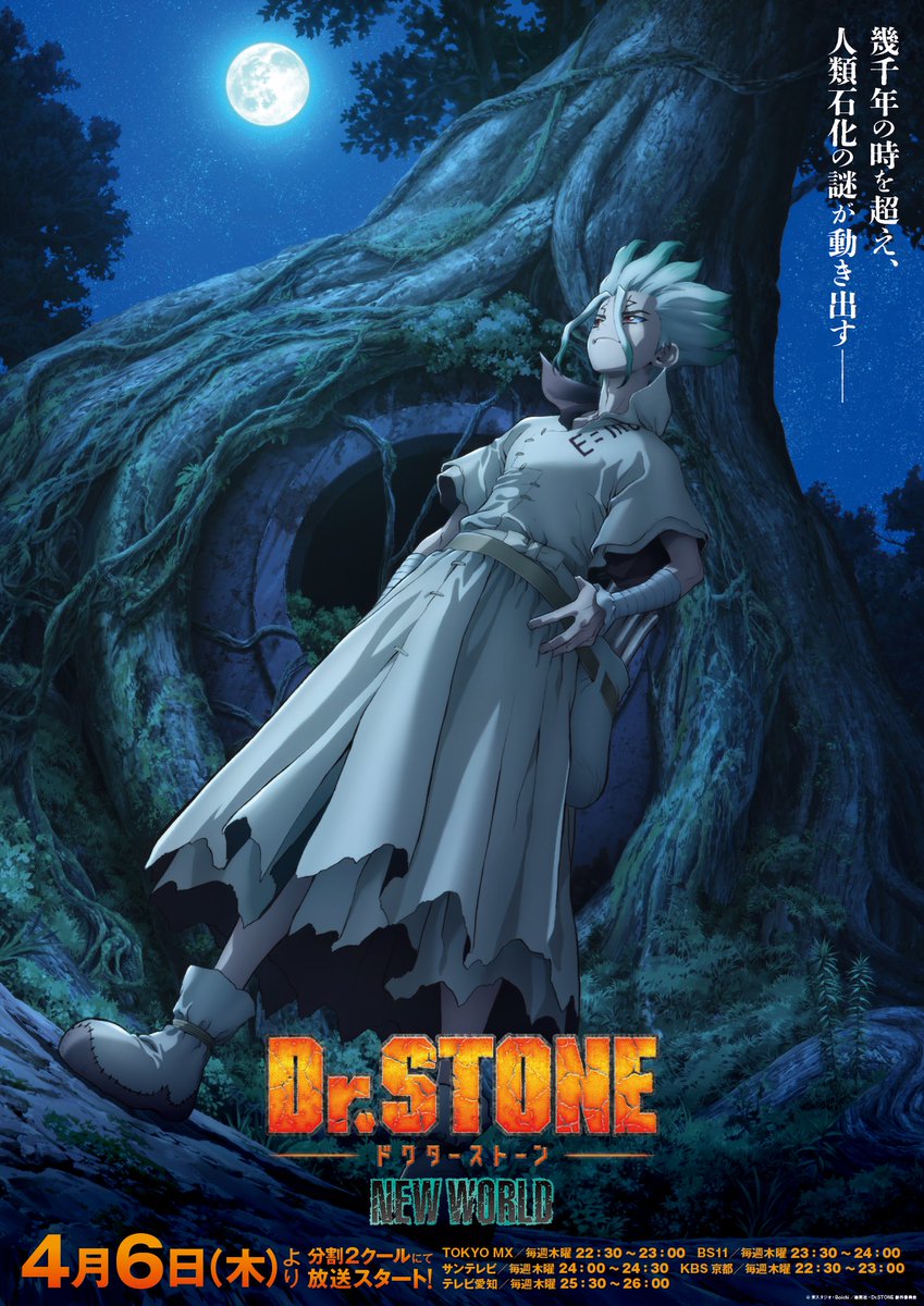 Dr.STONE New World