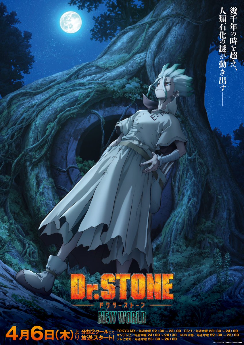 Dr. STONE New World anime key visual
