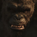 #Godzilla vs. Kong Sequel soll noch in diesem Jahr mit den Dreharbeiten beginnen