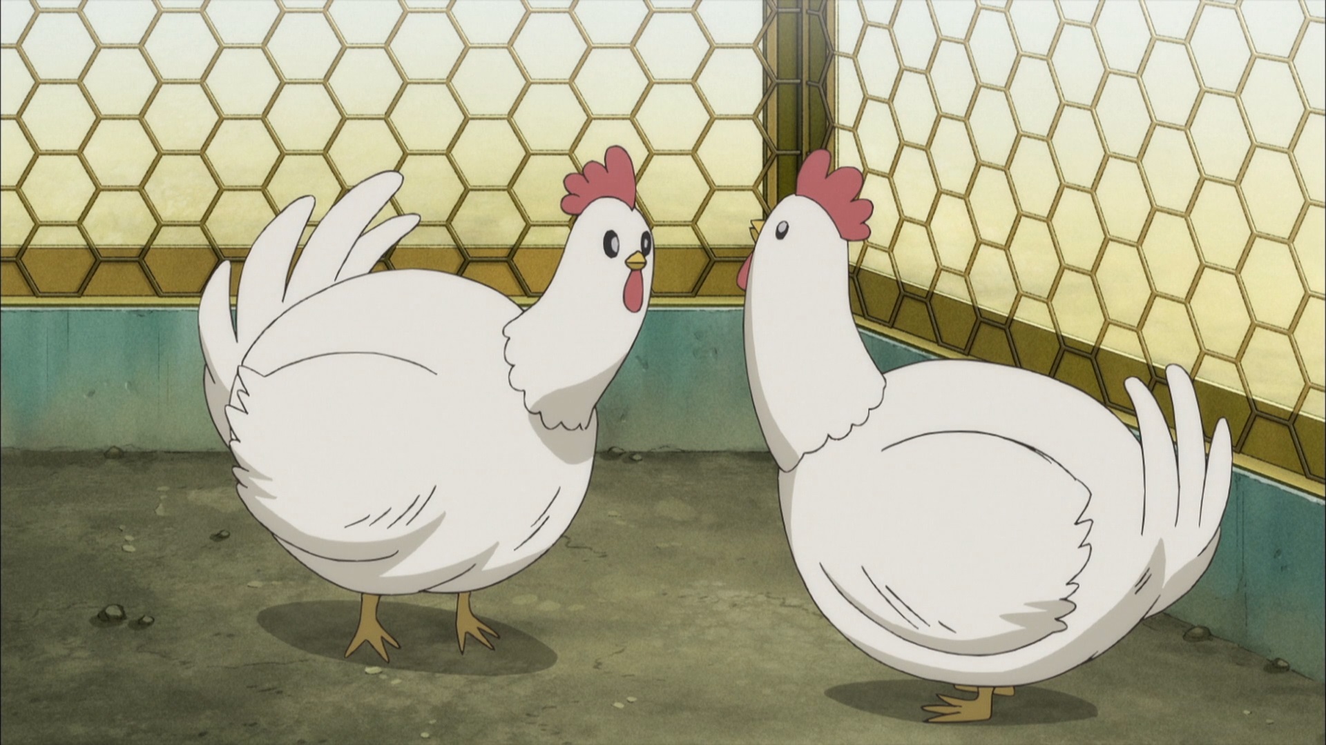 A pair of roosters wax philosophical in a scene from the Hitoribocchi no Marumaruseikatsu TV anime.