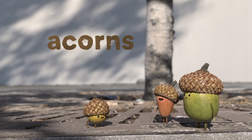 Acorns from Tonko House