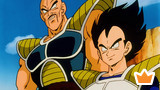 The Power of Nappa