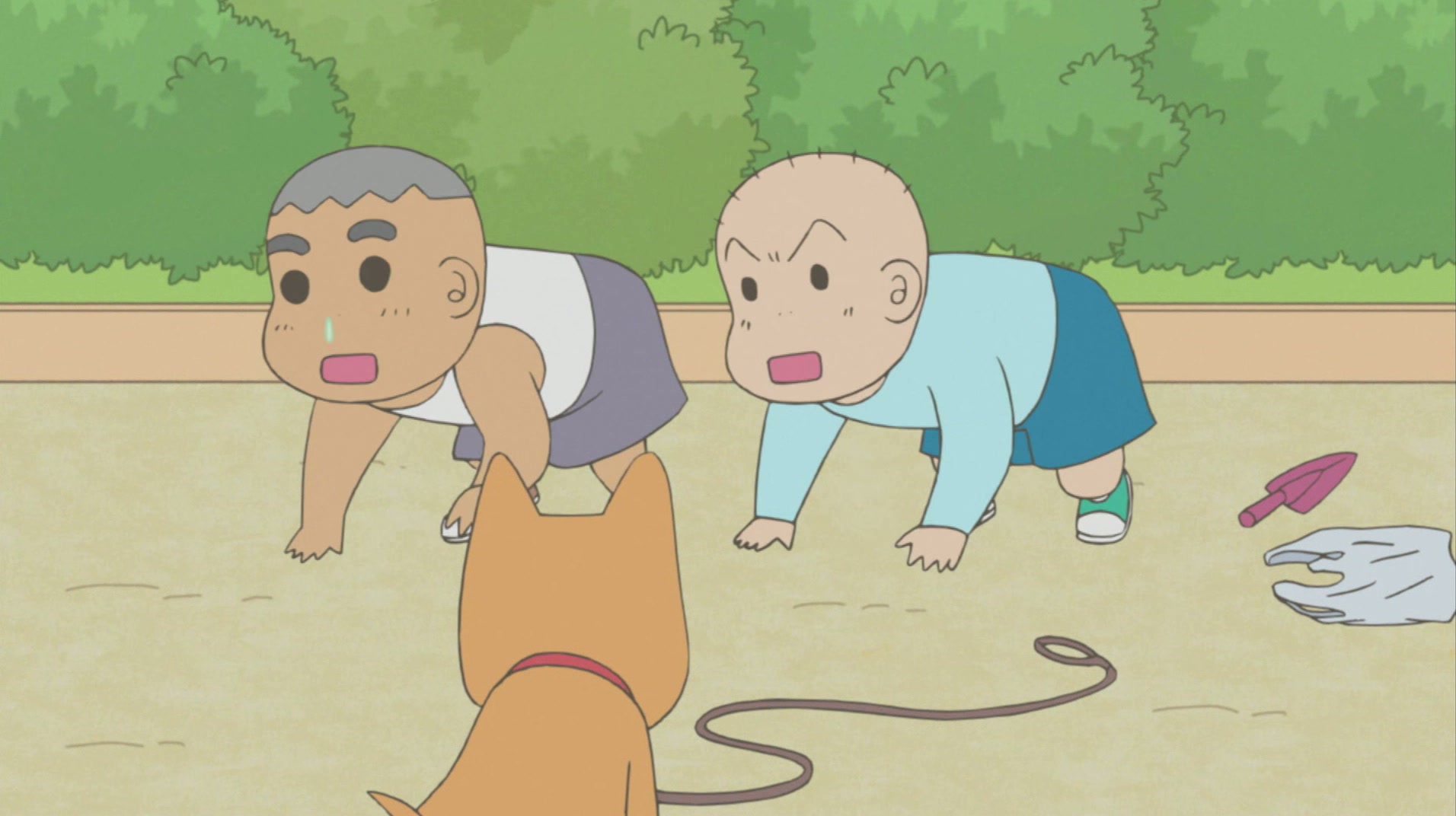 毎日かあさん 第87話 Dogs Can Walk Too Mid Winter Training Dad S Camera Smile Watch On Crunchyroll