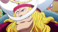 One Piece Episode 980 Myanimelist Net