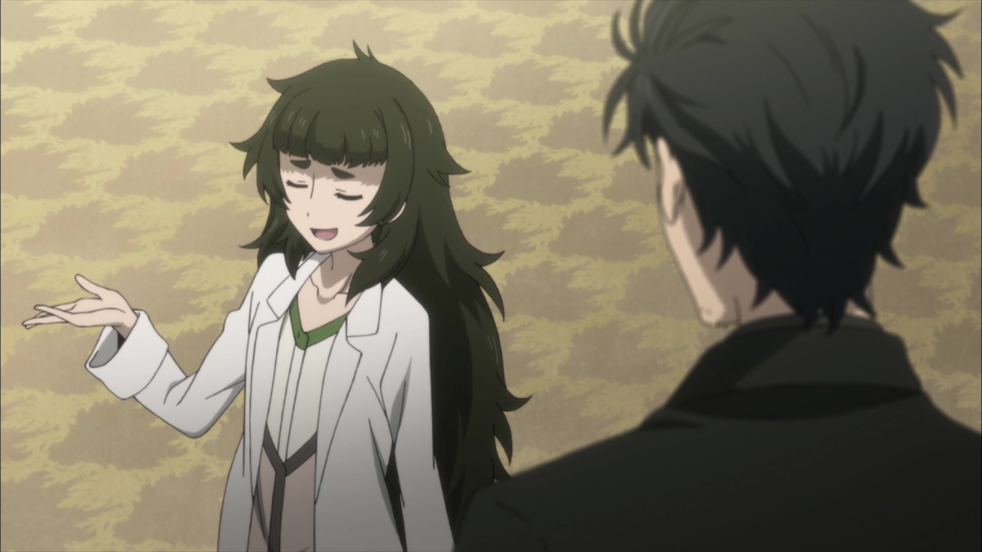 steins gate crunchyroll