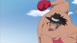 One Piece: Dressrosa (630-699) Episode 646
