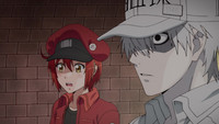 HGS Anime - Hataraku Saibou Black é um spin off da série Cells at Work, com  papéis inversos em relação aos gêneros dos glóbulos. Se passa no corpo de  uma pessoa doente