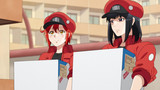 Cells at Work! Episodio 12