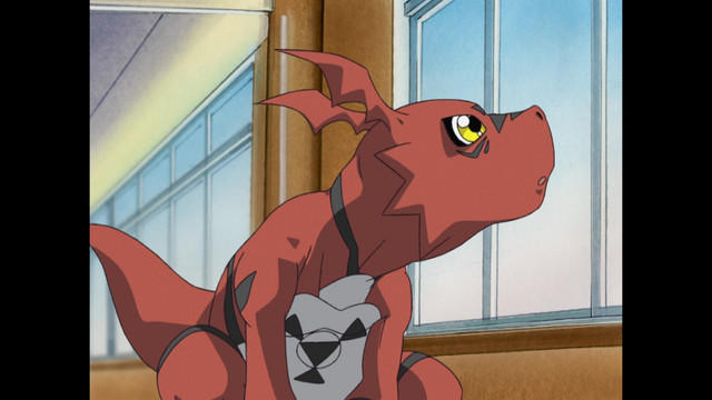 Digimon, Digimon Everywhere