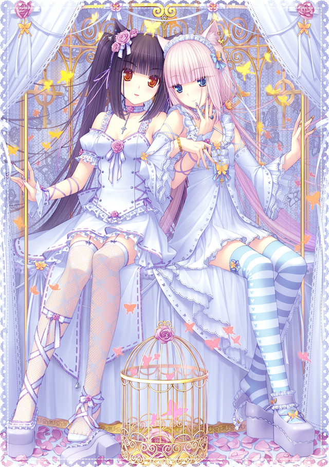 cutie neko paradise