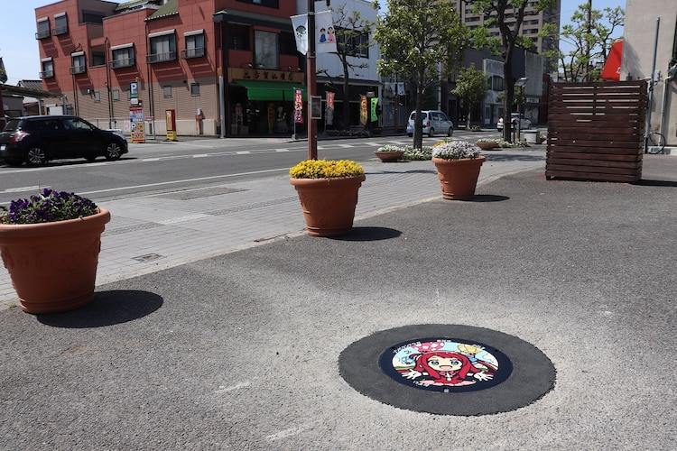 Sakura manhole cover