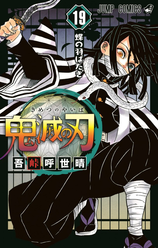 Demon Slayer volume 19 cover