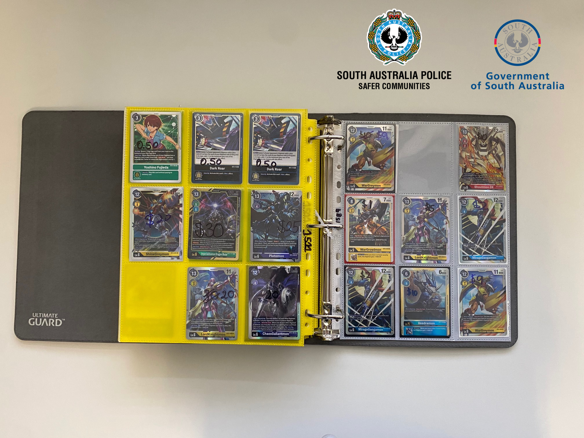 Stolen Digimon cards