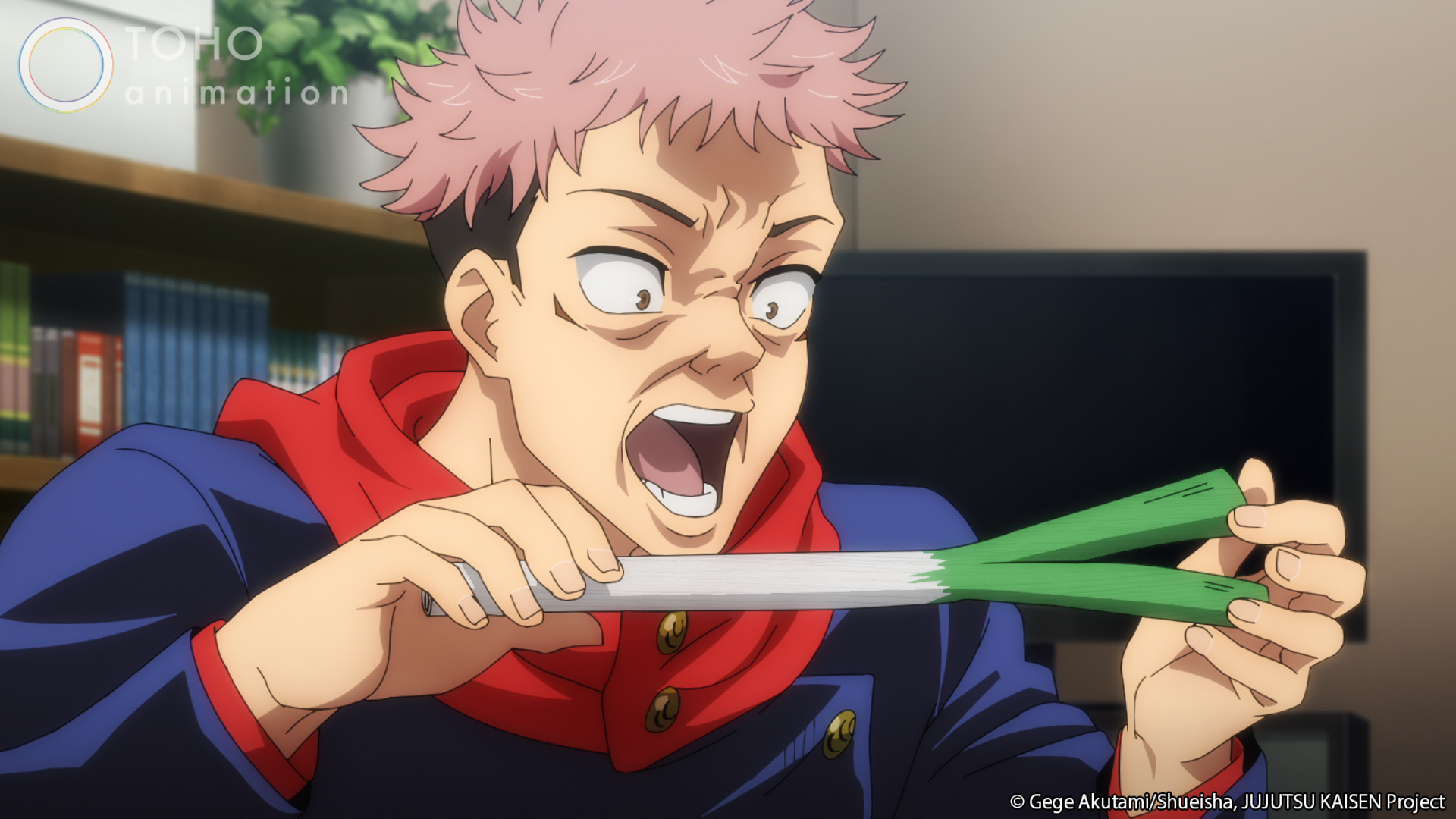 Jujutsu Kaisen My Hero Academia