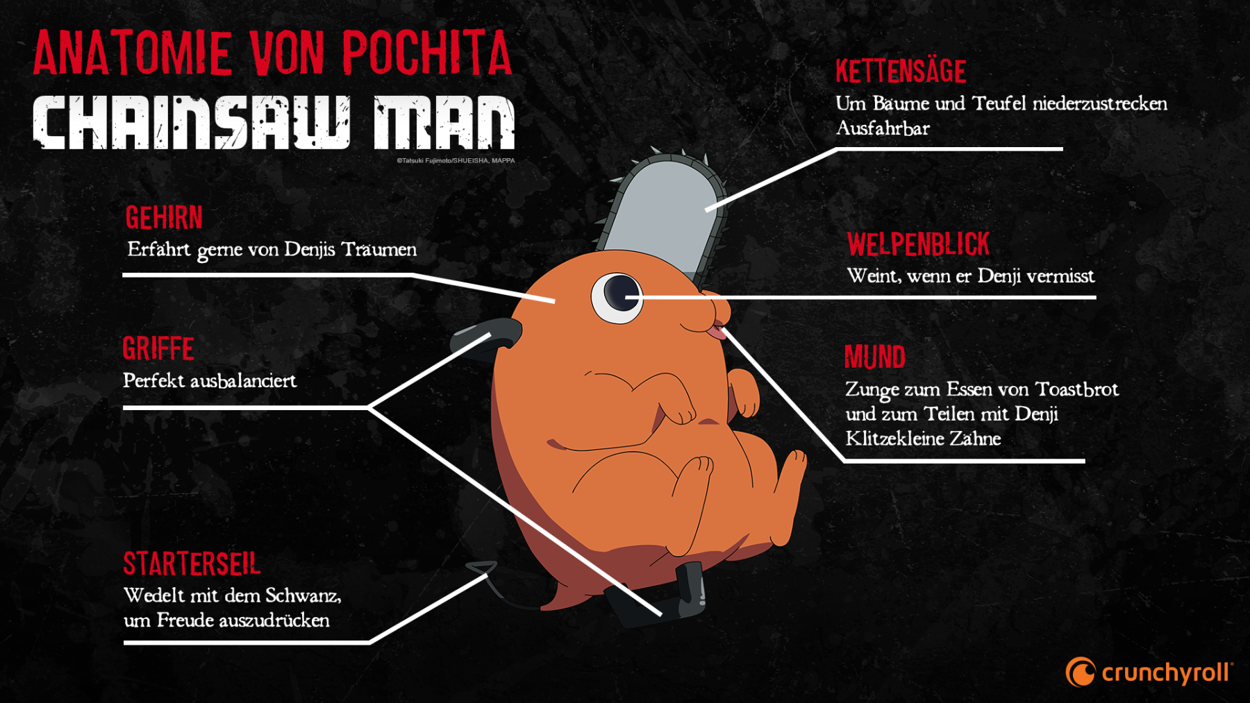 Pochita infographic