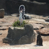 Crunchyroll - Lovesick Otaku Penguin Grape-kun Inspires Talk Event at ...