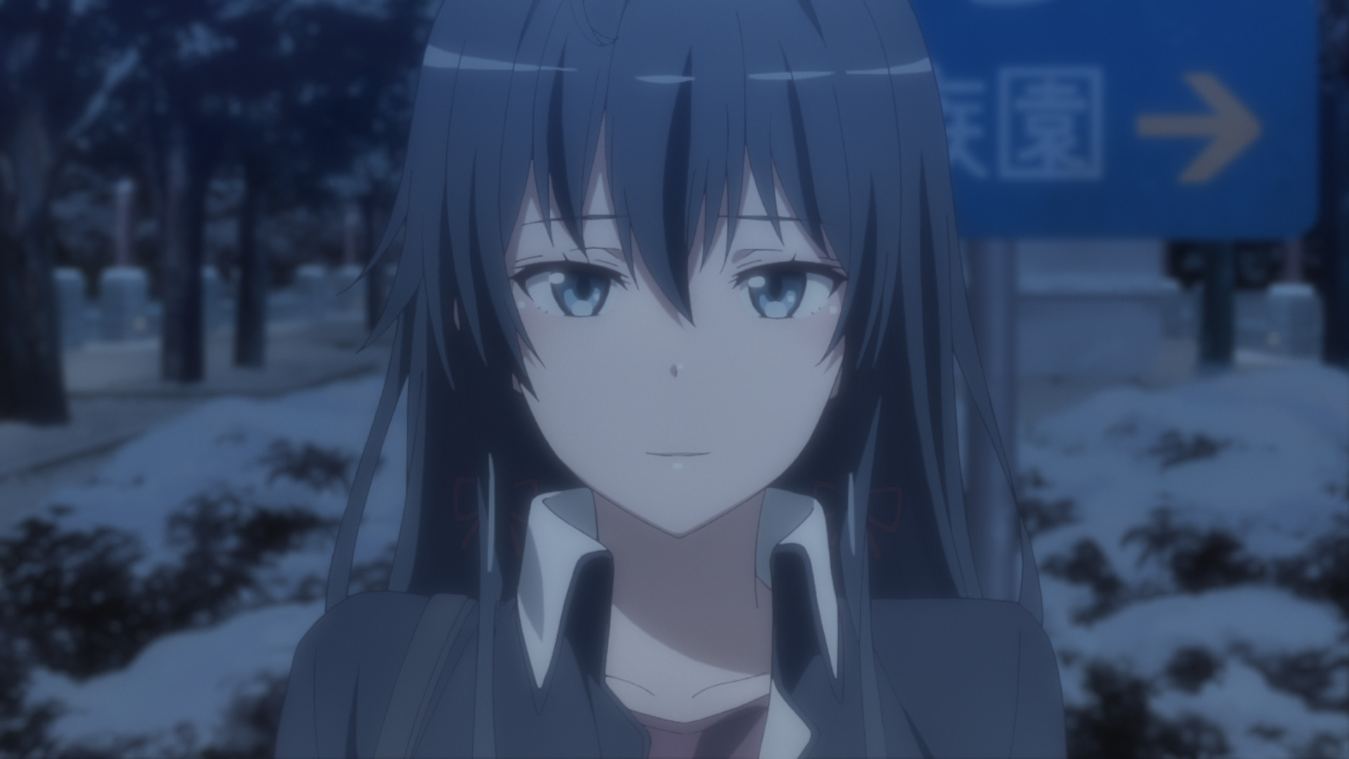 My Teen Romantic Comedy Snafu Light Novel