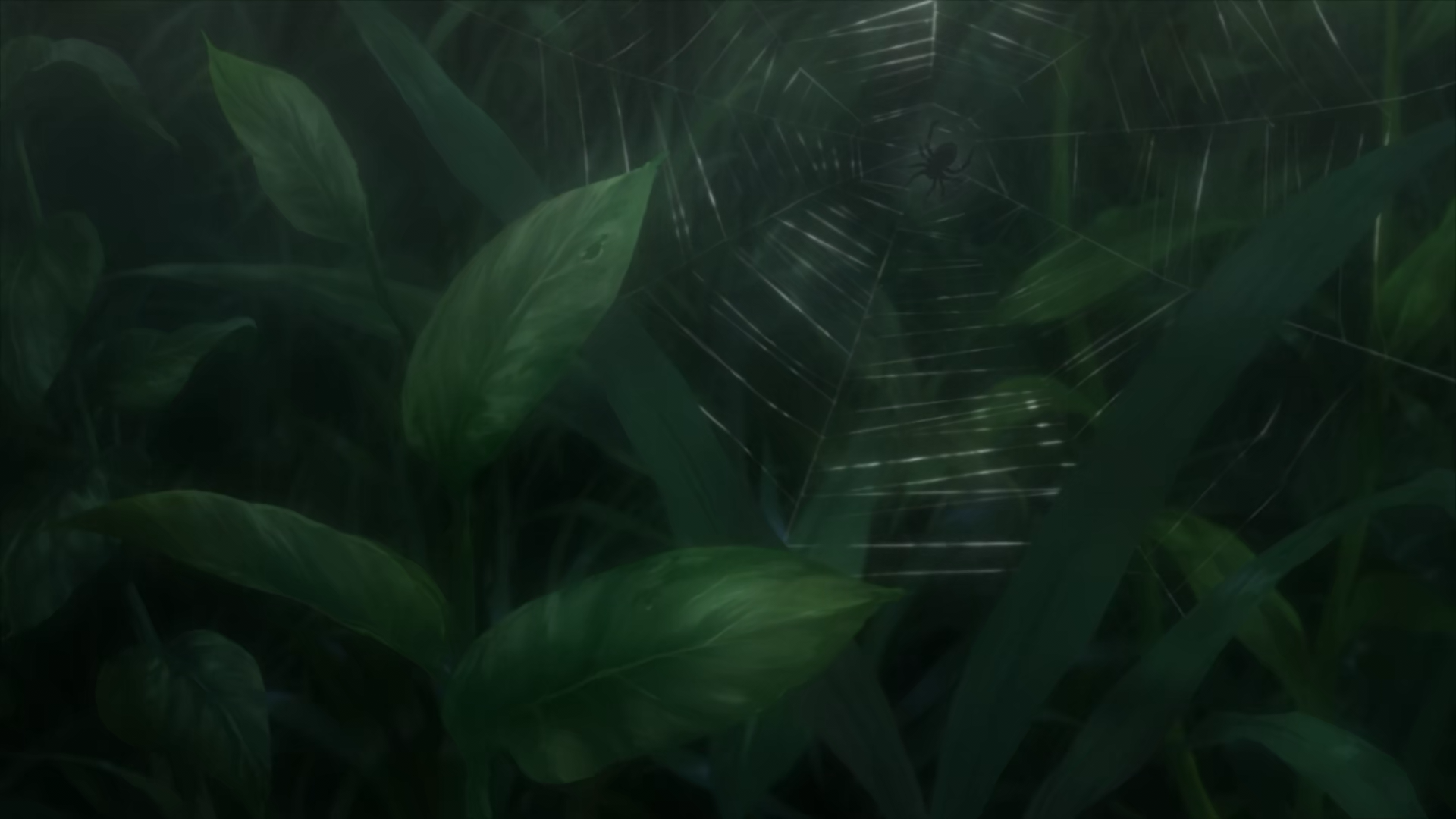 A spider web, MUSHI-SHI