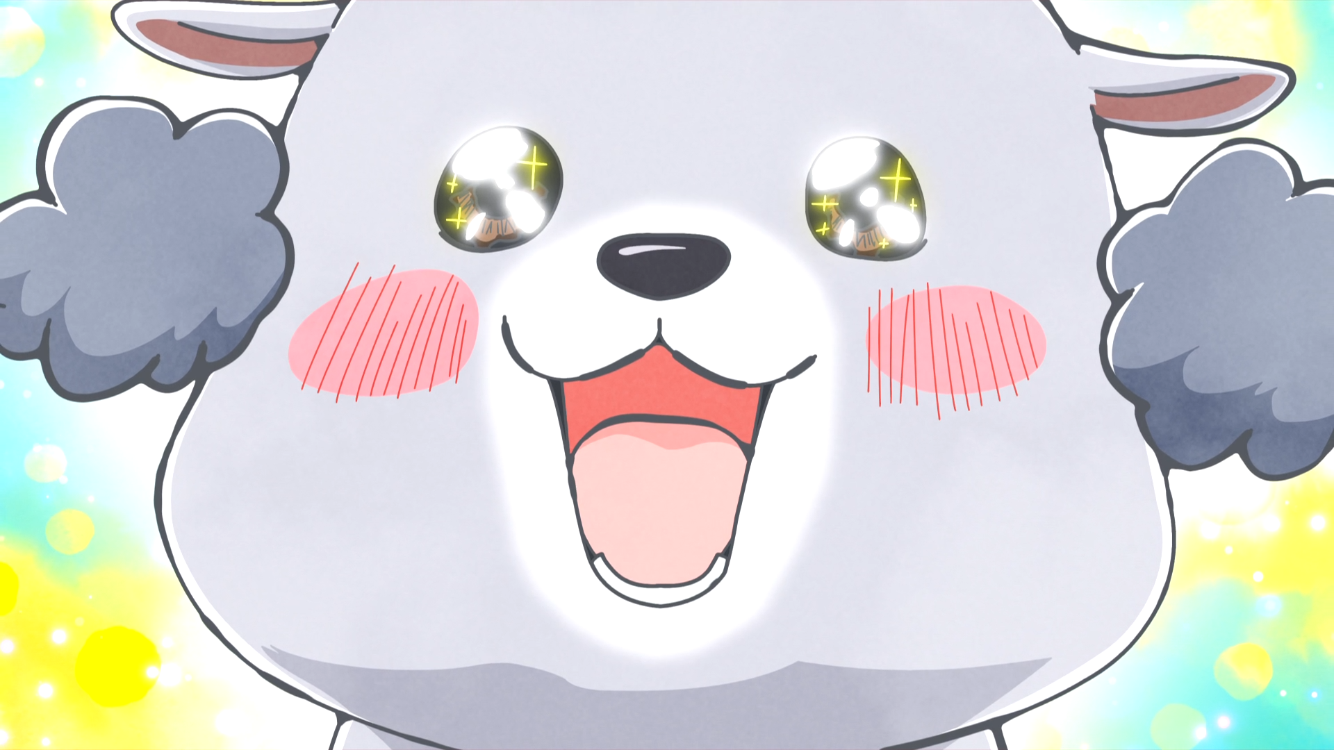 Inu-kun el perro está encantado con su nuevo y tonto corte de pelo en una escena del anime de televisión With a Dog AND a Cat, Every Day is Fun.