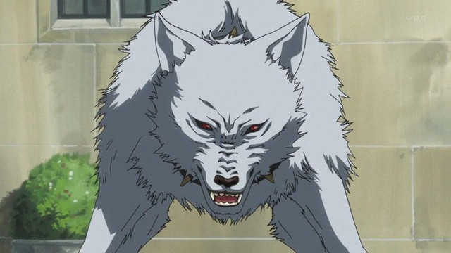 Celebrate Mutt Day with Our Favorite Anime Dogs  Sentai Filmworks
