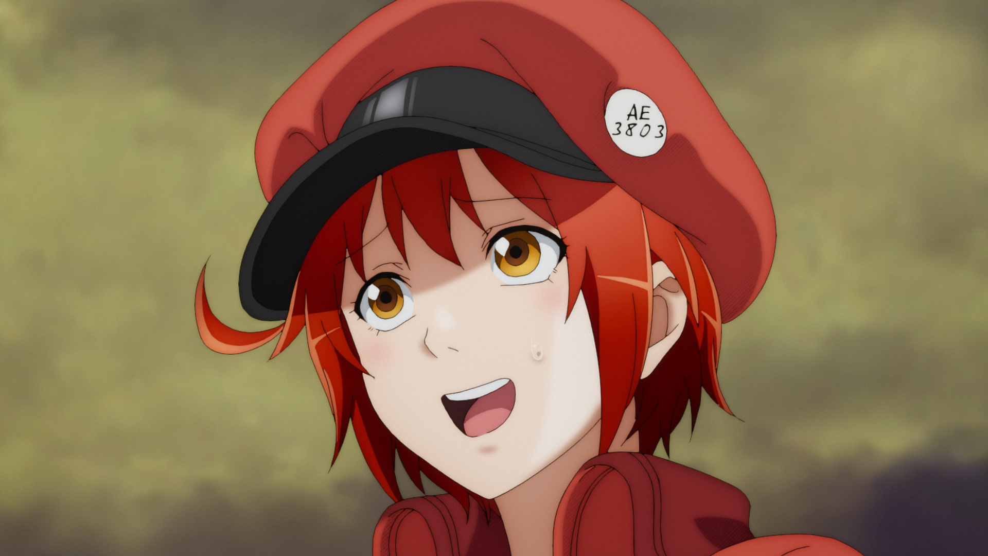 Red Blood Cell from Cells at Work!