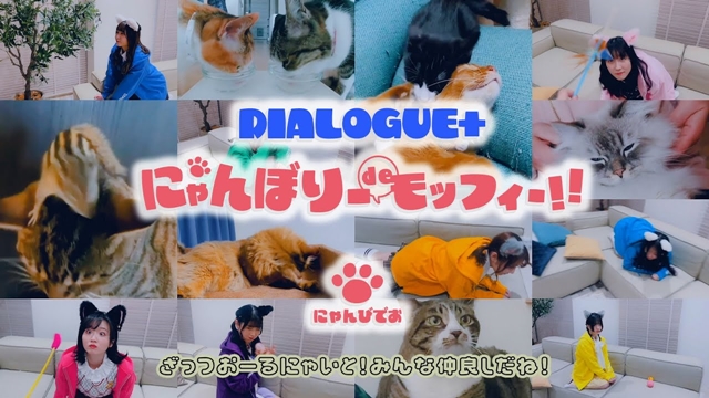 #VA Unit DIALOGUE+ Drops Too Cute Crisis Anime Ending Theme MV Vollgepackt mit süßen Katzen