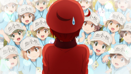 Red Blood Cell and Platelets