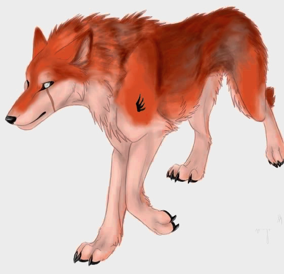 wolf form.
