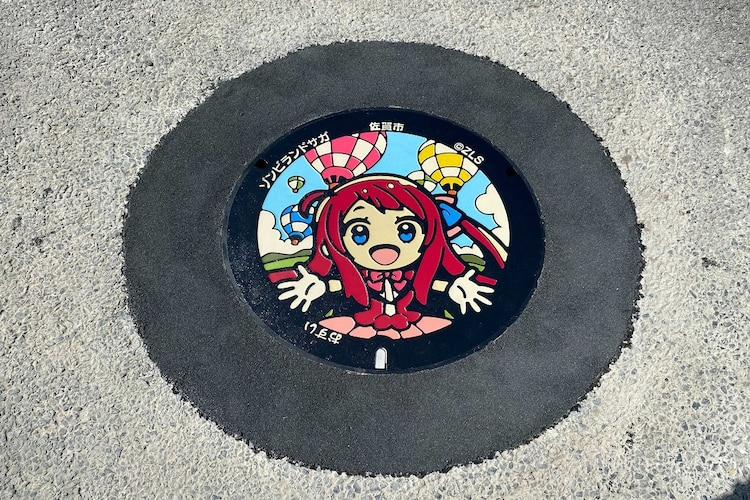Sakura manhole cover