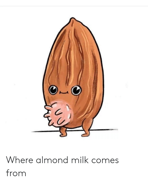 Tits almond with almondmilkhunni