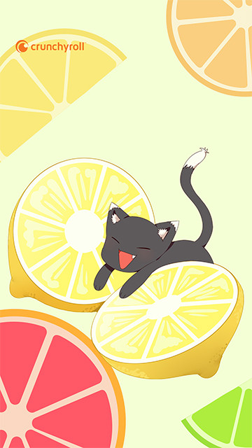 Yuzu on lemons