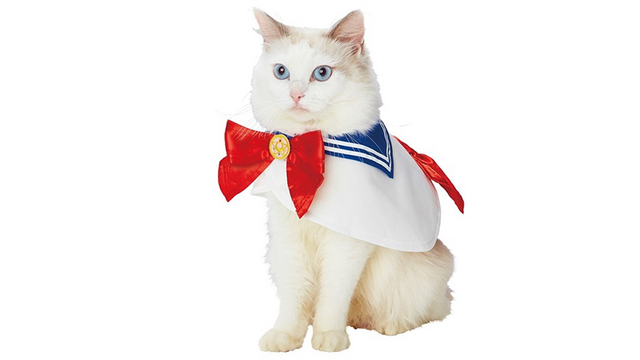 sailor moon cat dress