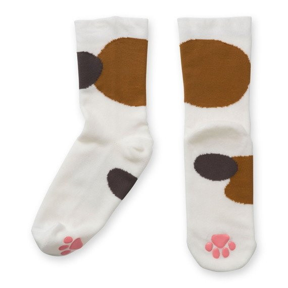 Crunchyroll - These Cat Socks Are Paw-sitively Purrfect