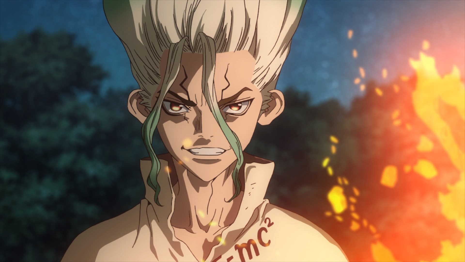 Dr. Stone