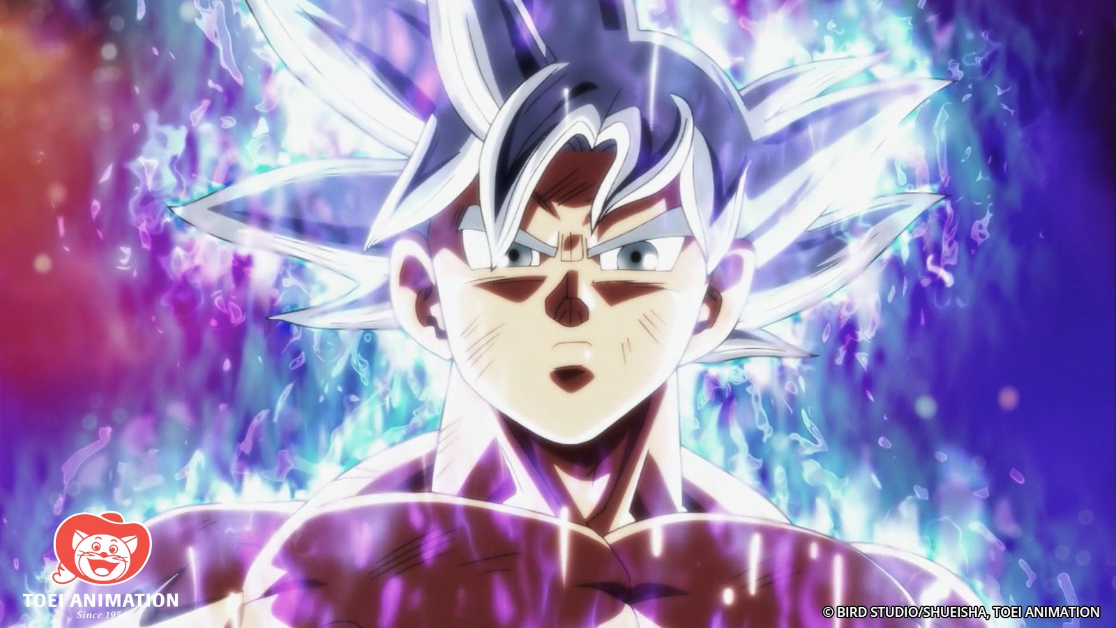 Goku Ultra Instinct Dragon Ball Super